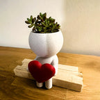 3D-Printed Air Plant Stand, 12.5 cm Desk Planter