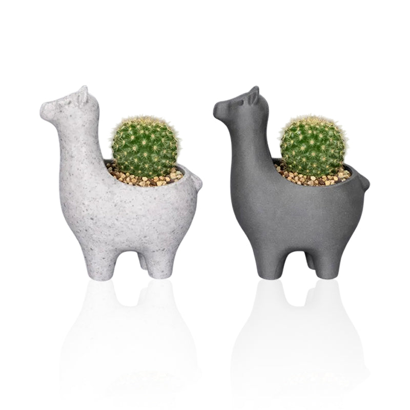 Marble-Look Alpaca Succulent Planter, 12 cm
