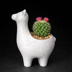 Marble-Look Alpaca Succulent Planter, 12 cm