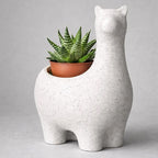 Marble-Look Alpaca Succulent Planter, 12 cm