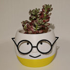 3D-Printed Planter with Glasses – White and Yellow