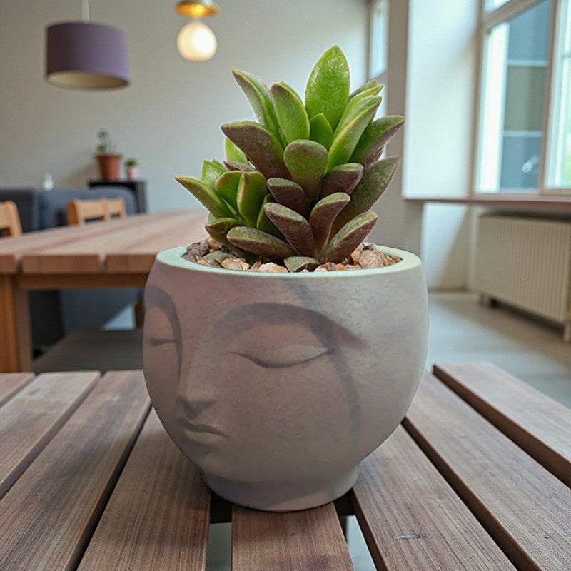 3D-Printed Serene Face Planter, Stone Look