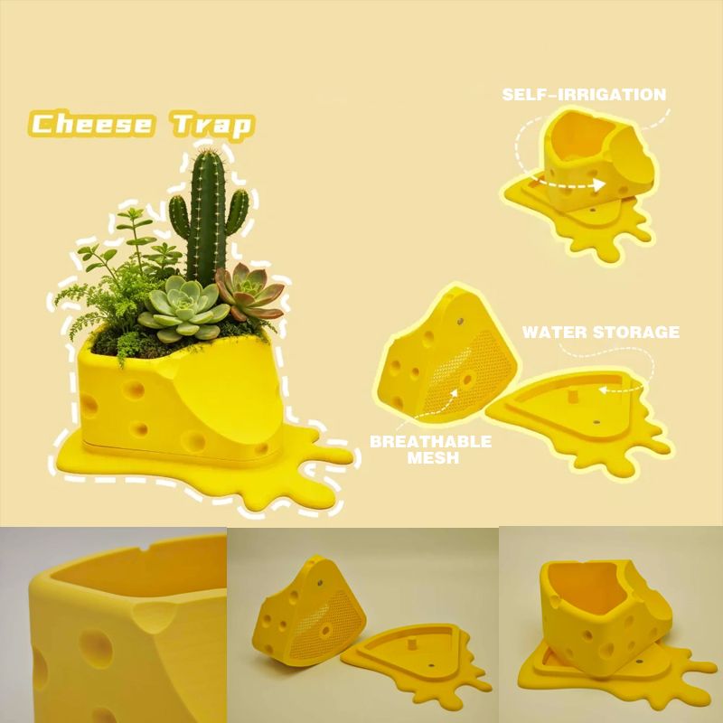 3D-Printed Cheese Trap Succulent Pot – Yellow