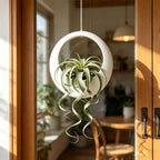 3D-Printed Round Hanging Planter – White