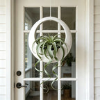 3D-Printed Round Hanging Planter – White