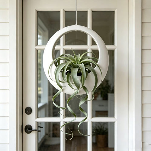 3D-Printed Round Hanging Planter – White