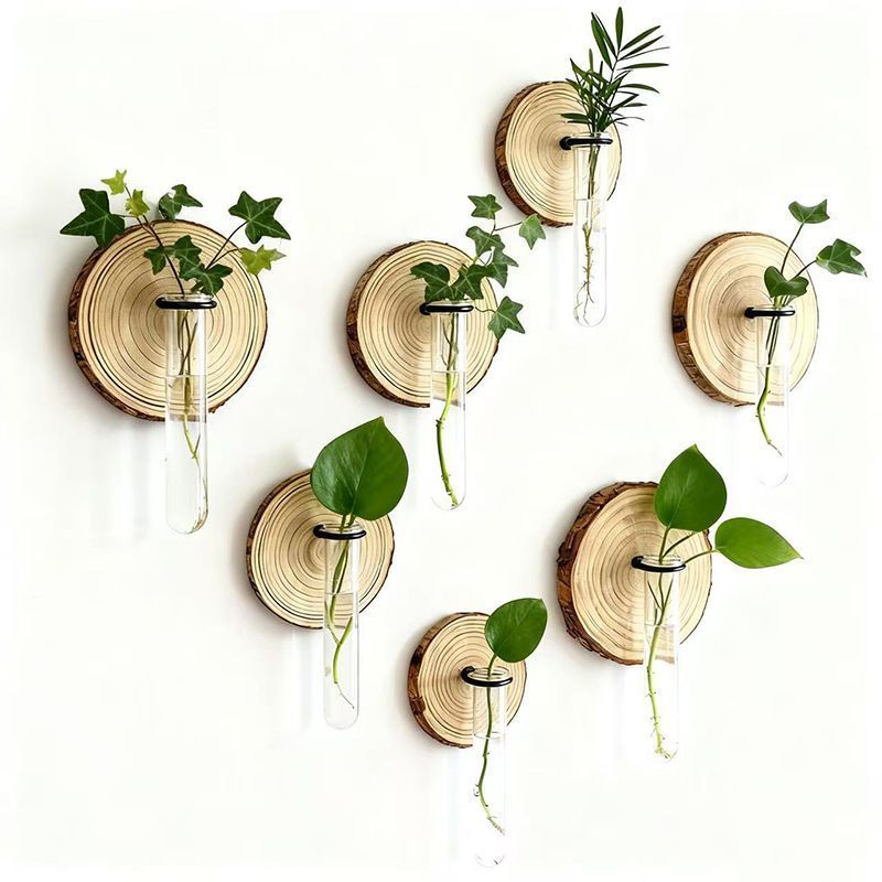 Wall-Mounted Test Tube Propagation Station, Wooden – Set of 6