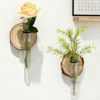 Wall-Mounted Test Tube Propagation Station, Wooden – Set of 6