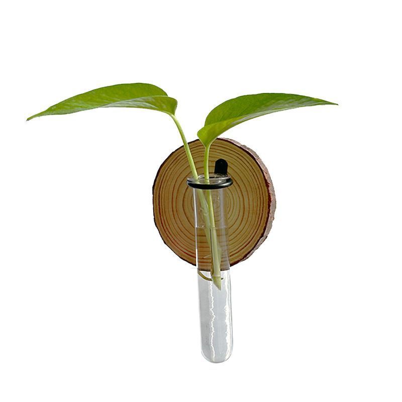 Wall-Mounted Test Tube Propagation Station, Wooden – Set of 6
