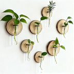 Wall-Mounted Test Tube Propagation Station, Wooden – Set of 6