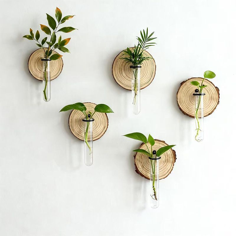 Wall-Mounted Test Tube Propagation Station, Wooden – Set of 6