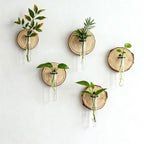 Wall-Mounted Test Tube Propagation Station, Wooden – Set of 6
