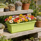 Rectangular Herb and Vegetable Planter Box with Drip Tray, 71 cm – Purple