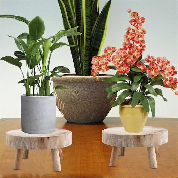 Mini Wooden Pallet Plant Stand, 17 x 9 cm