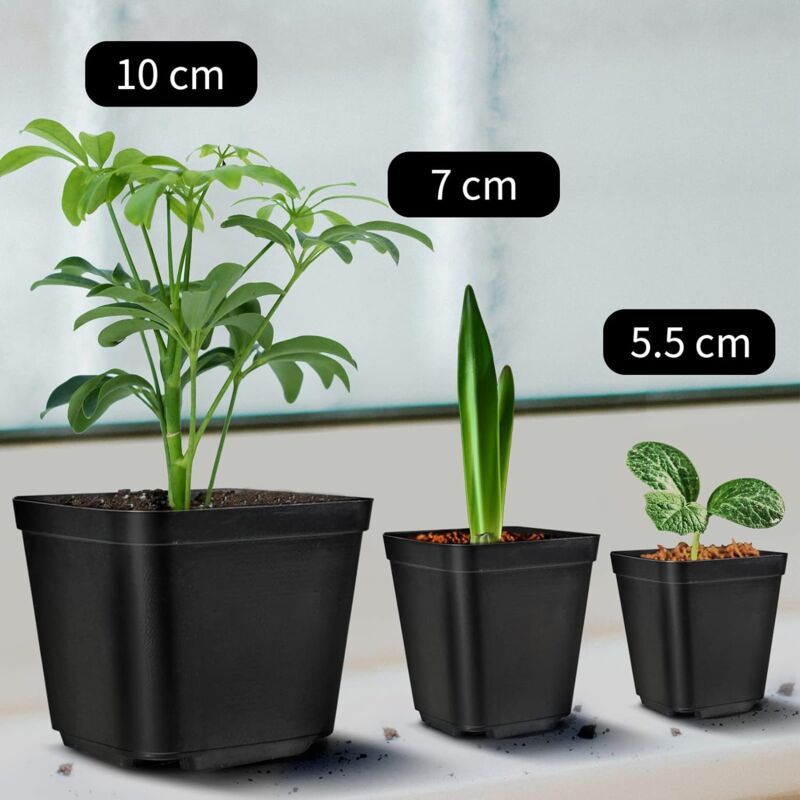 Square Seedling Nursery Pots, 7 cm Reusable – Pack of 200