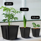 Square Seedling Nursery Pots, 7 cm Reusable – Pack of 200