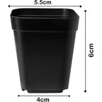 Square Seedling Nursery Pots, 5.5 cm Reusable – Pack of 20