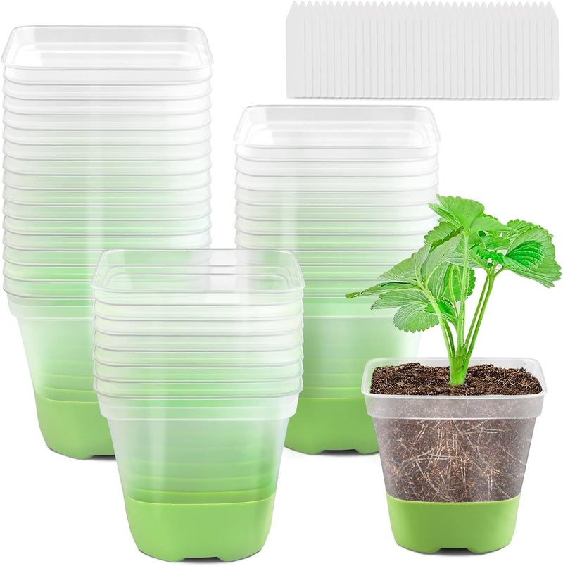 Clear Square Seedling Pots with Silicone Base, 10 cm – 12 Pack with 36 Labels