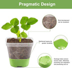 Clear Square Seedling Pots with Silicone Base, 10 cm – 12 Pack with 36 Labels