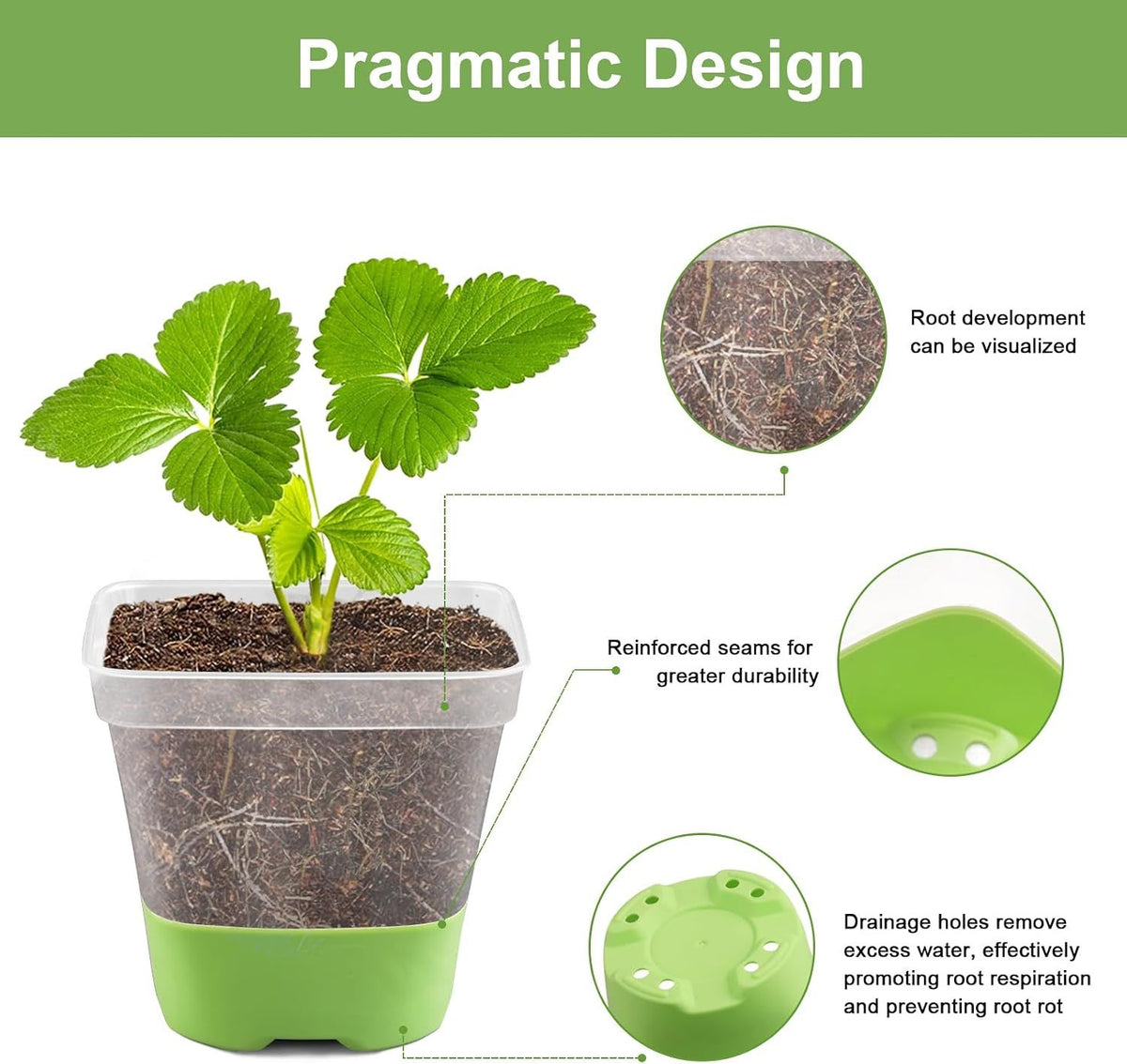 Clear Square Seedling Pots with Silicone Base, 10 cm – 12 Pack with 36 Labels