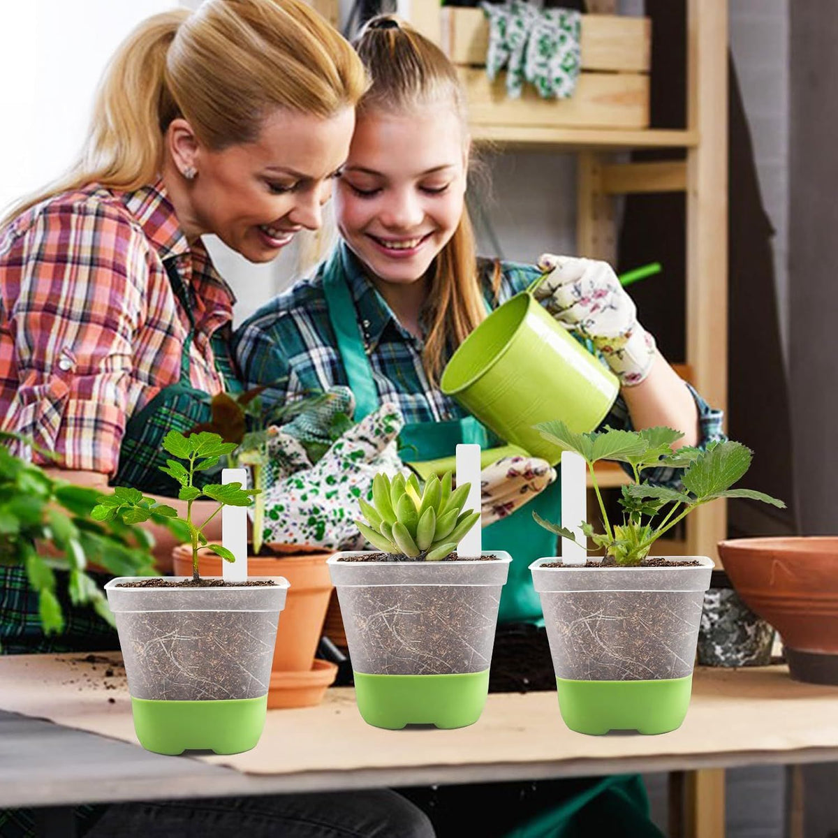 Clear Square Seedling Pots with Silicone Base, 10 cm – 12 Pack with 36 Labels