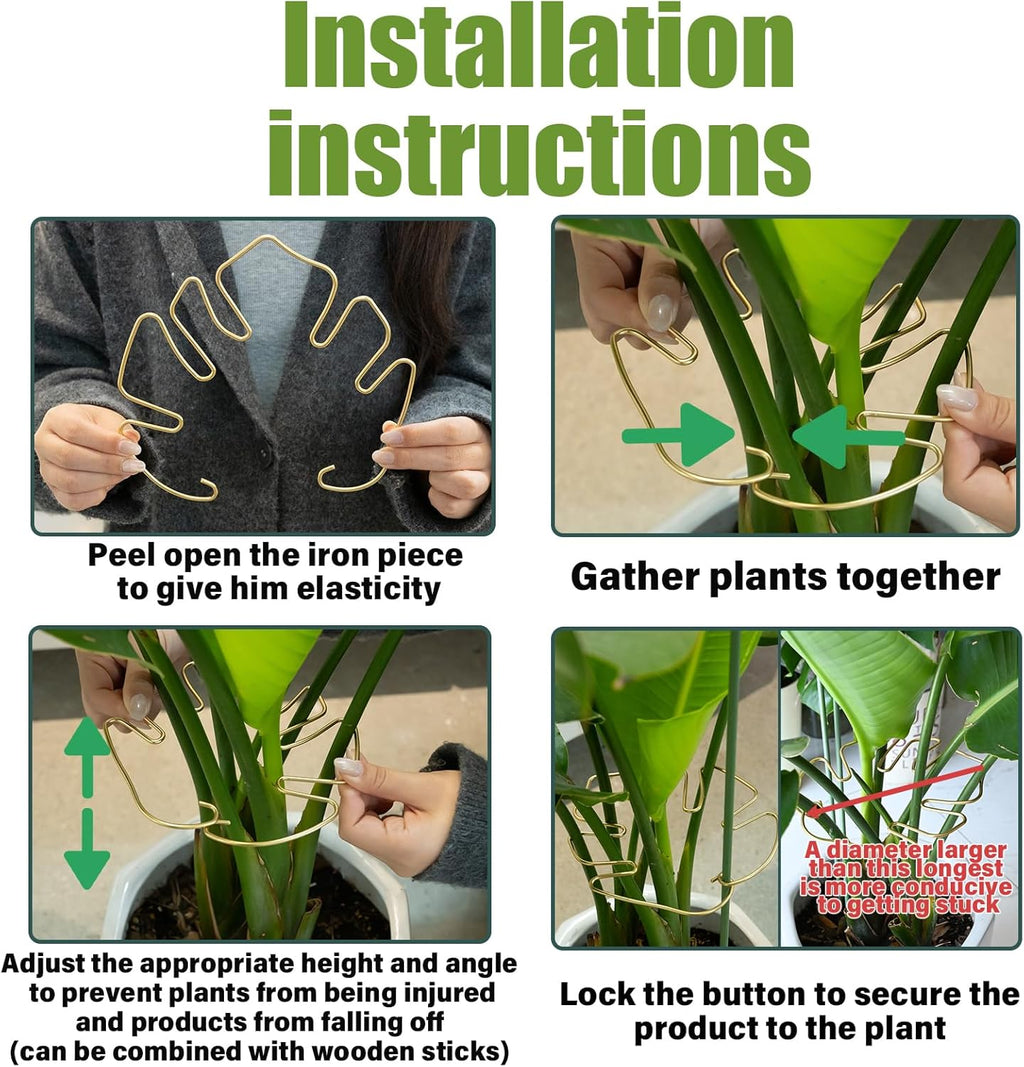 Gold Monstera Plant Support Frame for Climbing Plants