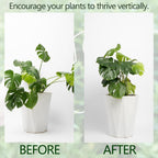 Gold Monstera Plant Support Frame for Climbing Plants