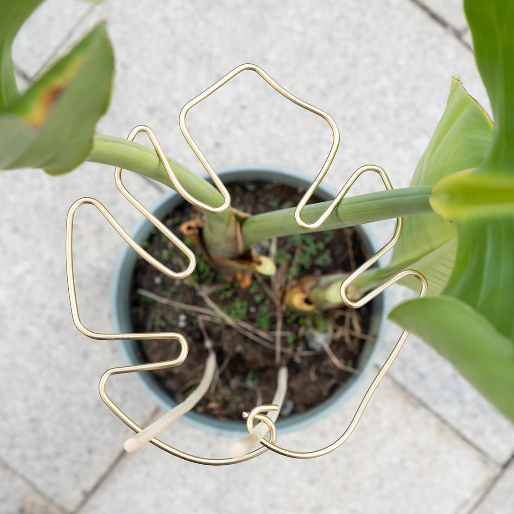 Gold Monstera Plant Support Frame for Climbing Plants