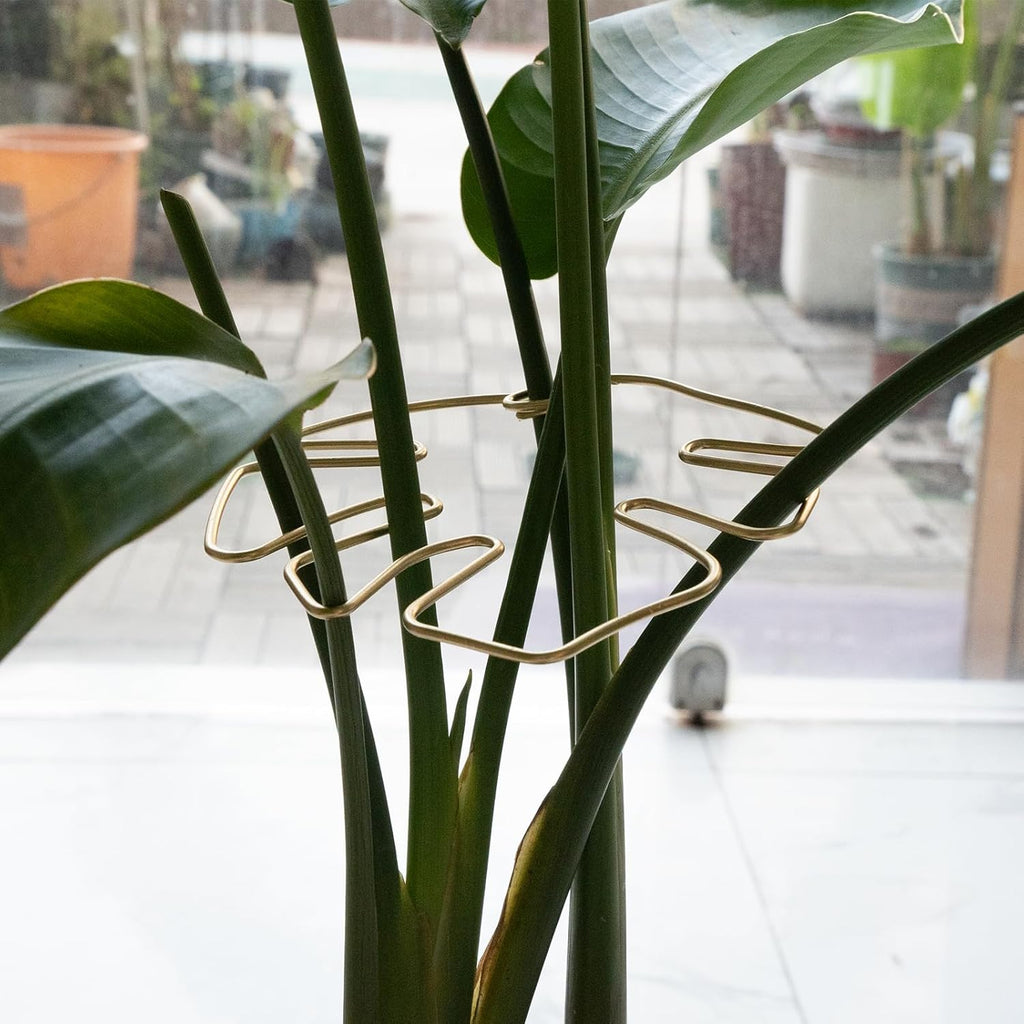 Gold Monstera Plant Support Frame for Climbing Plants