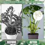 Gold Leaf Plant Support Stakes with Clips – Pack of 2