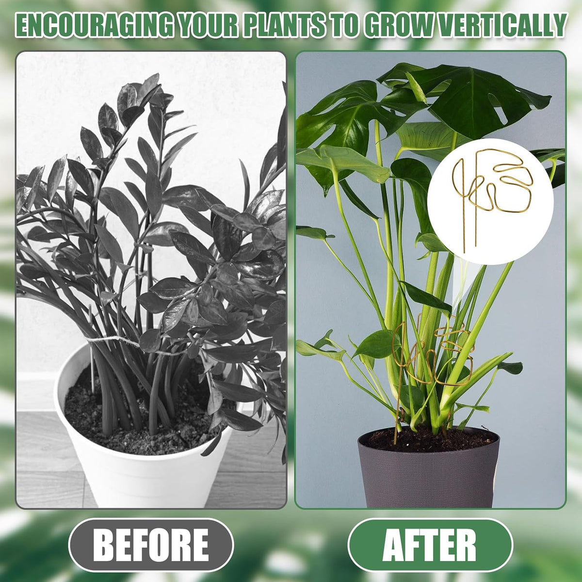 Gold Leaf Plant Support Stakes with Clips – Pack of 2