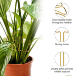 Gold Leaf Plant Support Stakes with Clips – Pack of 2