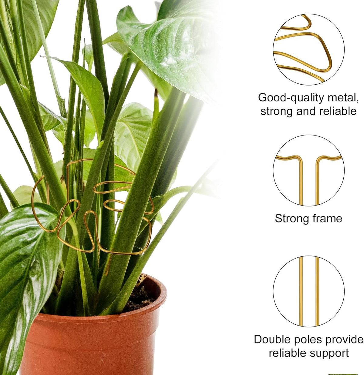 Gold Leaf Plant Support Stakes with Clips – Pack of 2