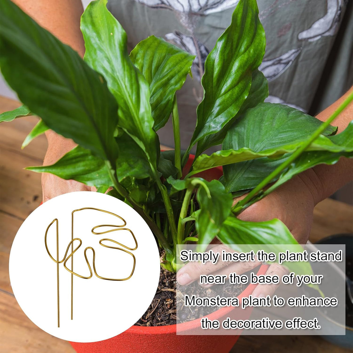 Gold Leaf Plant Support Stakes with Clips – Pack of 2