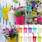 Metal Hanging Bucket Pots with Hooks, 10 cm – Pack of 10, Mixed Colours