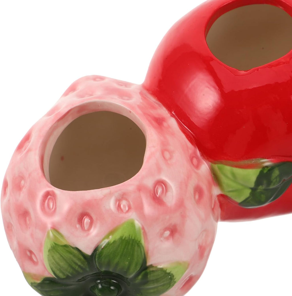Strawberry Ceramic Vase for Cuttings and Propagation