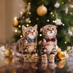 Christmas Cat Collars with Breakaway Bow Tie & Bell – Pack of 4