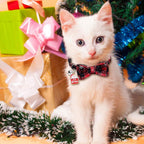 Christmas Cat Collars with Breakaway Bow Tie & Bell – Pack of 4