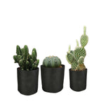 Fabric Grow Bags, 6 Pack – Black Felt Plant Pots