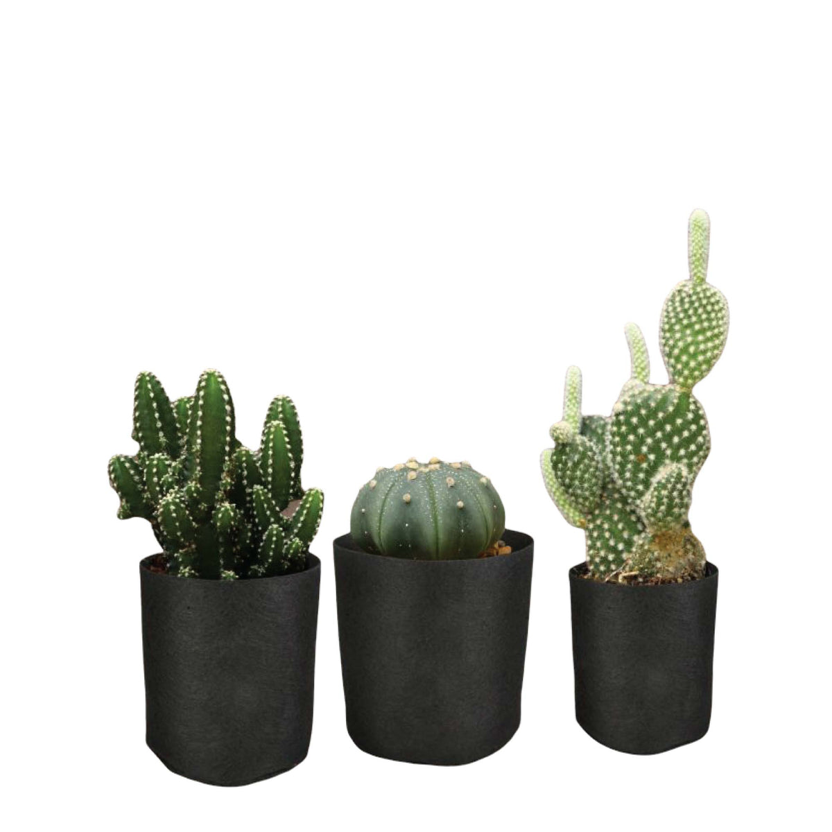 Fabric Grow Bags, 6 Pack – Black Felt Plant Pots