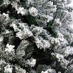 Snow-Tipped Artificial Christmas Tree, 2.4 m with 1500 Tips – Christabelle