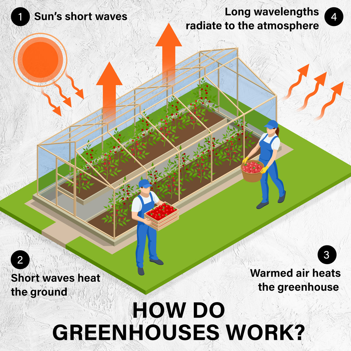 Replacement Dome Greenhouse Cover 300 x 200 x 200 cm – Green