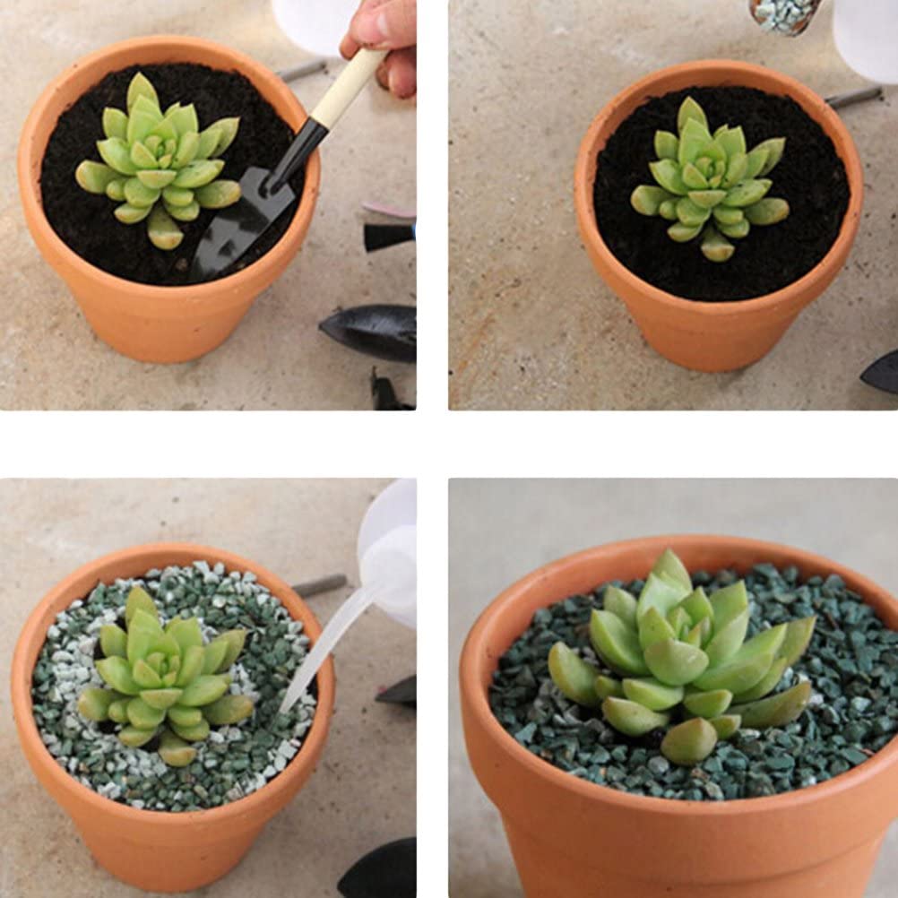 Mini Terracotta Pots with Drainage Holes, 6 cm – 10 Pack