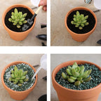 Mini Terracotta Pots with Drainage Holes, 6 cm – 10 Pack
