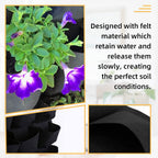72-Pocket Vertical Wall Planter Bag – Black