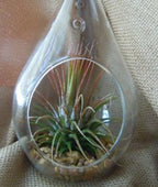 Hanging Glass Teardrop Tealight Holders, 12 cm – Pack of 4