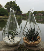 Hanging Glass Teardrop Tealight Holders, 12 cm – Pack of 4