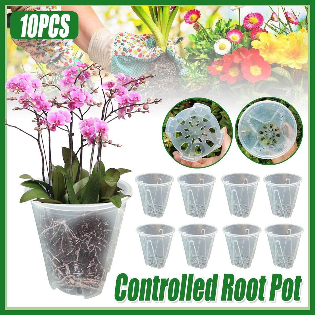 Clear Orchid Pots with Aeration Holes, 10 Pack