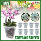 Clear Orchid Pots with Aeration Holes, 10 Pack