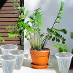 Clear Orchid Pots with Aeration Holes, 10 Pack
